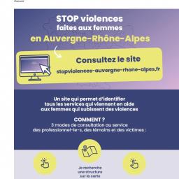 Violences faites aux femmes :  un outil régional pour les professionnels