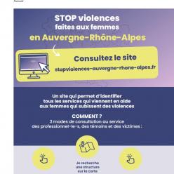 Violences faites aux femmes :  un outil régional pour les professionnels